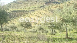 Land for sale in Vila Nova de Foz Côa, Portugal — €1,200,000
