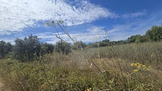 Land for sale in Torres Novas, Portugal — €6,250