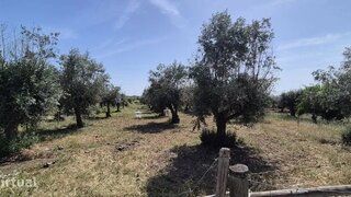 Land for sale in Idanha-a-Nova, Portugal — €26,000