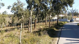 Land for sale in Ourém, Portugal — €55,000