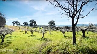 Land for sale in Fundão, Portugal — €25,000