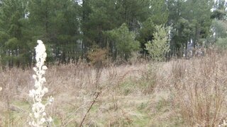 Land for sale in Ourém, Portugal — €55,000