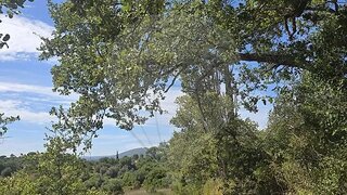 Land for sale in Torres Novas, Portugal — €6,350