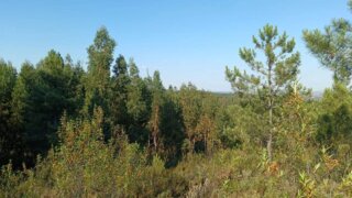 Land for sale in Vila Velha de Ródão, Portugal — €162,500