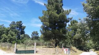 Terreno em Guarda · 720 m² · 12 345 €