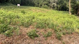Land for sale in Sátão, Portugal — €60,000