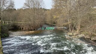 Terreno em Penalva do Castelo