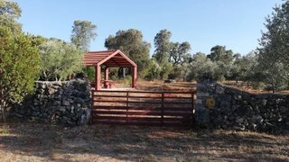 Land for sale in Alcanena, Portugal — €18,000