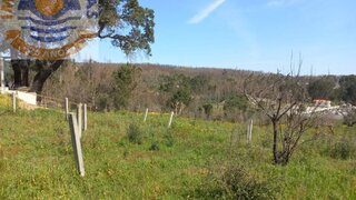Land for sale in Ourém, Portugal — €35,000
