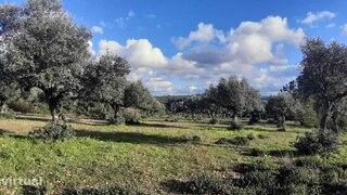 Land for sale in Vila Velha de Ródão, Portugal — €20,500
