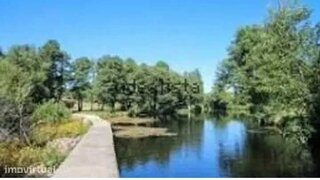 Land for sale in Vila Nova de Paiva, Portugal — €99,000