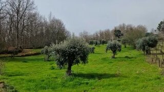 Land for sale in Viseu, Portugal — €32,000