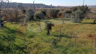 Terreno de 1073 m² em Coimbra