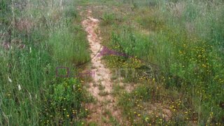Land for sale in Torres Novas, Portugal — €165,000