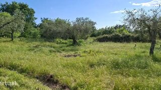 Terreno em Penamacor · 10 160 m² · 23 000 €