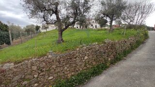 Land for sale in Mação, Portugal — €15,000