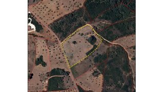 Terreno de 19 040 m² em Santarém