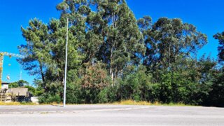 Terreno de 3000 m² em Viseu