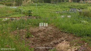 Land for sale in Abrantes, Portugal — €66,500