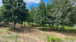 Terreno de 4742 m² em Viseu