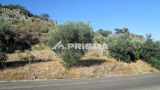 Land for sale in Idanha-a-Nova, Portugal — €89,000