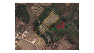 Land for sale in Rio Maior, Portugal — €12,000