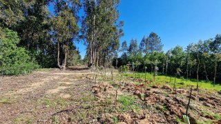 Terreno para venda em Coruche, Portugal — 25 000 €