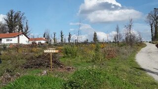 Land for sale in Carregal do Sal, Portugal — €15,000