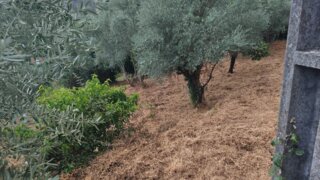 Land for sale in Fundão, Portugal — €19,000