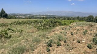 Land for sale in Belmonte, Portugal — €85,000
