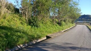 Terreno de 5600 m² em Santarém