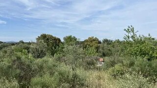 Terreno de 1250 m² em Castelo Branco