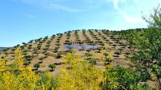 Land for sale in Figueira de Castelo Rodrigo, Portugal — €550,000
