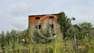 Terreno em Carregal do Sal