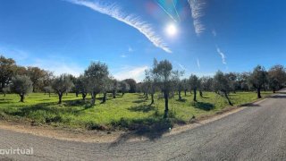 Land for sale in Alvaiázere, Portugal — €85,000