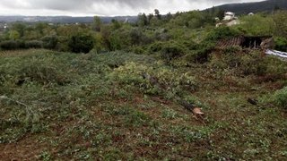 Terreno para venda em Fundão, Portugal — 28 500 €