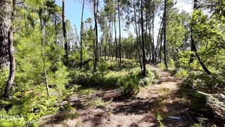 Land for sale in Tondela, Portugal — €8,100