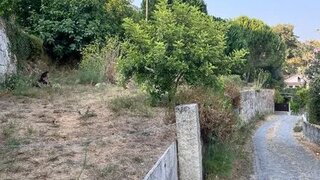Land for sale in São Pedro do Sul, Portugal — €30,000