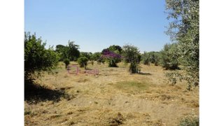Land for sale in Entroncamento, Portugal — €165,000