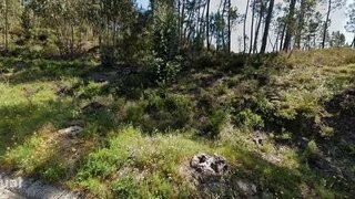 Land for sale in Ferreira do Zêzere, Portugal — €10,400