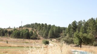 Terreno de 65 760 m² em Castelo Branco