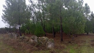 Land for sale in Seia, Portugal — €8,000