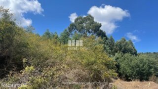 Land for sale in Abrantes, Portugal — €77,000