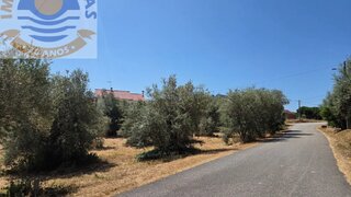 Land for sale in Ourém, Portugal — €21,000
