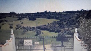 Terreno em Santarém · 82 560 m² · 169 000 €