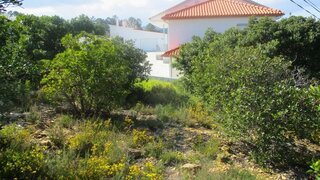 Land for sale in Proença-a-Nova, Portugal — €42,500
