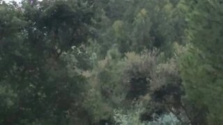 Land for sale in Almeirim, Portugal — €129,000