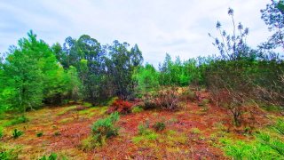 Terreno em Coruche · 4095 m² · 65 000 €
