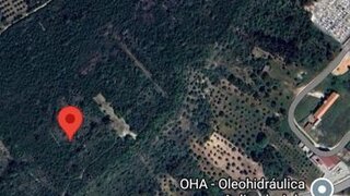 Terreno de 5500 m² em Santarém