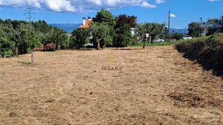 Land for sale in Nelas, Portugal — €50,000